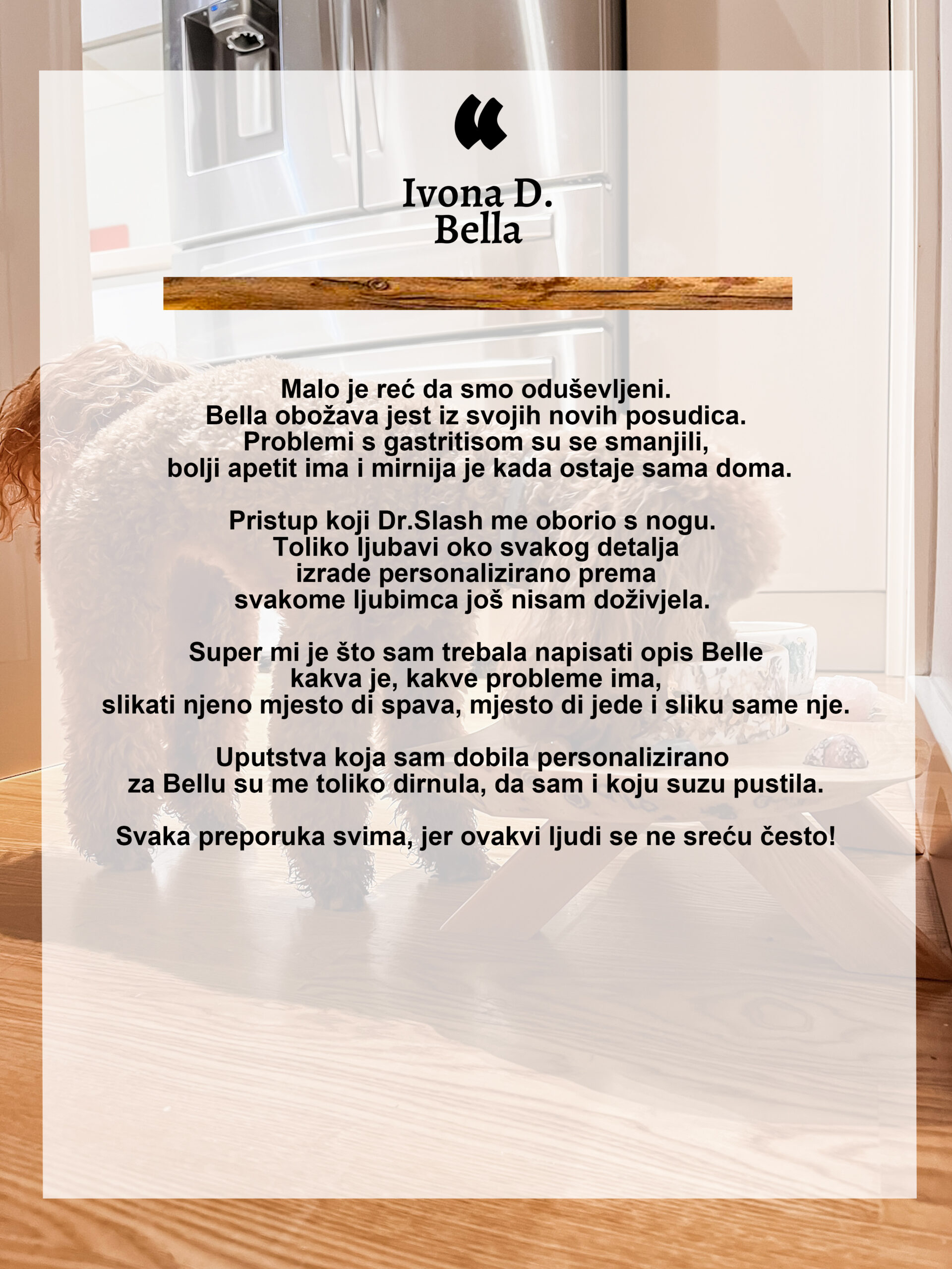 REVJU ivona1