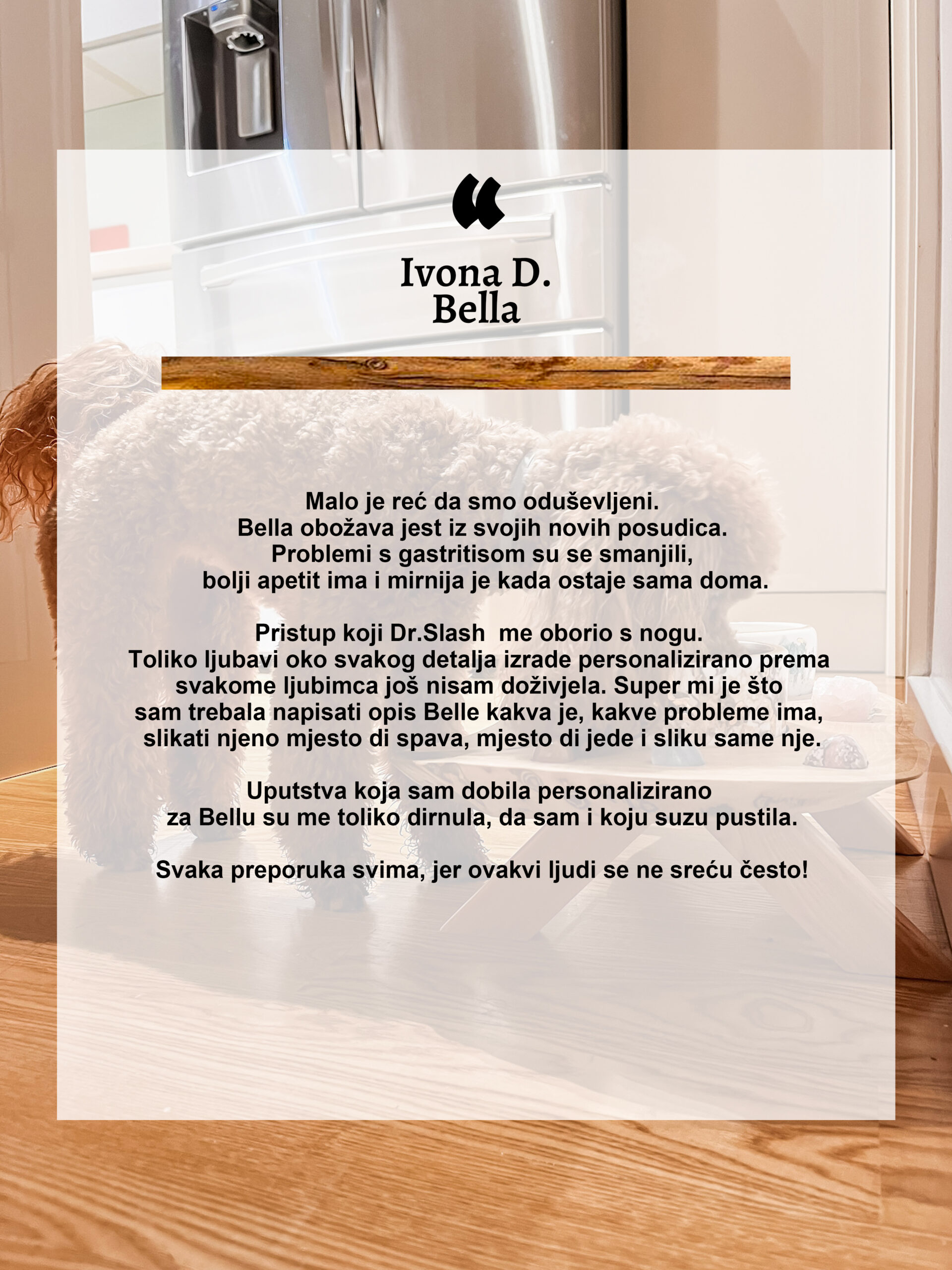 REVJU web ivona bella