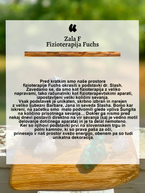 ft revju